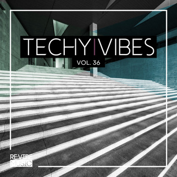 Various Artists - Techy Vibes, Vol. 36 (Explicit)