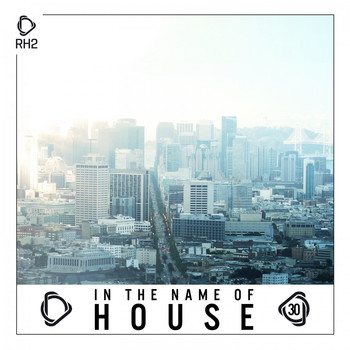 Various Artists - In the Name of House, Vol. 30