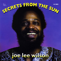 Joe Lee Wilson - Secrets From the Sun