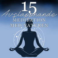 Avslappning Musik Akademi - 15 Avslappnande Meditation med Naturen – Zenspår, Asiatisk Musik, Helande Andlighet, Naturljud, Yoga, Spa, Lugna Musikterapi