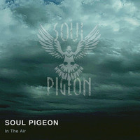 Soul Pigeon - In the Air