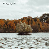 Nicky Jaques - Wake Up