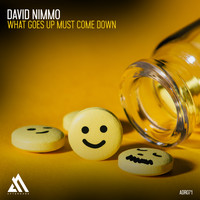 David Nimmo - What Goes Up Must Come Down