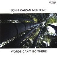 John Kaizan Neptune - WORDS CAN'T GO THERE