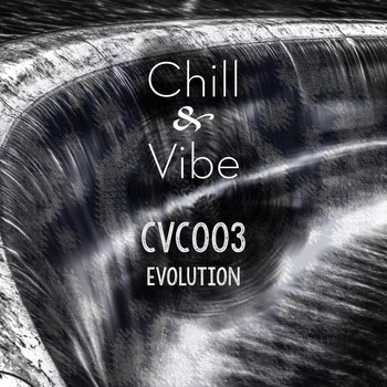 Various Artists - CVC003: Evolution