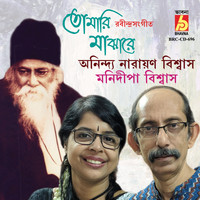 Anindya Narayan Biswas - Tomari Majhare