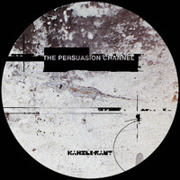 Diego Hostettler - The Persuasion Channel