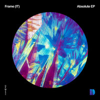 Frame (IT) - Absolute