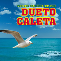 Dueto Caleta - Por los Caminos del Sur