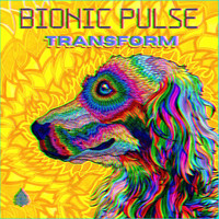 Bionic Pulse -  Transform