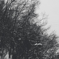 Norman Westberg - Short Songs for the Long Winter