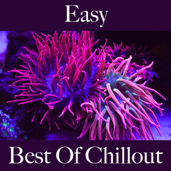 Intakt - Easy: Best of Chillout
