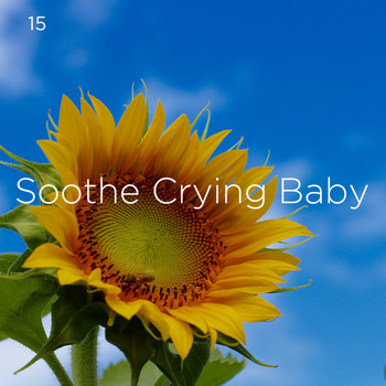 Sleep Baby Sleep, Baby Lullaby and BodyHI - 15 Soothe Crying Baby