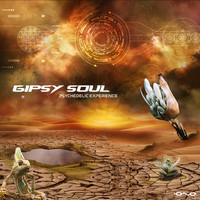 Gipsy Soul - Psychedelic Experience