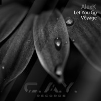 AlexK - Let You Go, Voyage