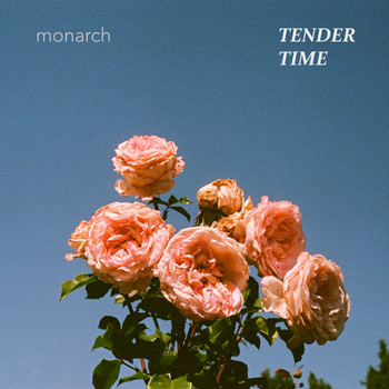 Tender Time - Monarch