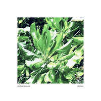 Michael Bonczar - Blomen