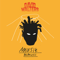 David Walters - Musik Remixes