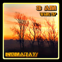 momajay - 3 Am Wake Up
