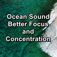 Nature Sounds Radio - Ocean Sound Better Focus and Concentration