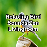 Animal and Bird Songs - Relaxing Bird Sounds Zen Livingroom