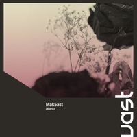 Mak5ast - District
