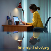 Best Of Hits - Late Night Studying: Chill Vibes 2020
