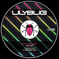 Filip Grönlund - The Visit