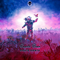 Boonie Bean - Siesto Siento