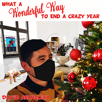 David Archuleta - What a Wonderful Way to End a Crazy Year