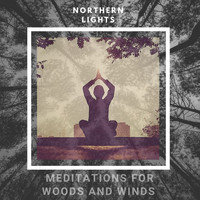 Northern Lights - Meditations for Woods & Winds