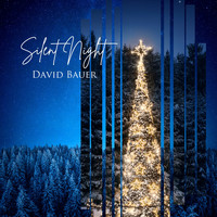 David Bauer - Silent Night