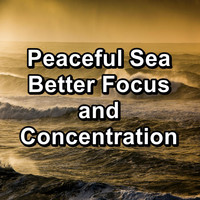 Nature Sounds Radio - Peaceful Sea Better Focus and Concentration