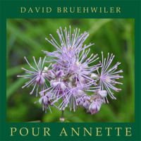 David Bruehwiler - Pour Annette