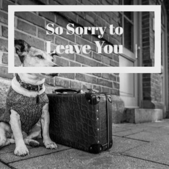 Various Artists - So Sorry to Leave You