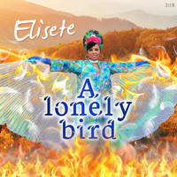 elisete - A Lonely Bird