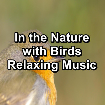 Relax Bird Sounds - In the Nature with Birds Relaxing Music