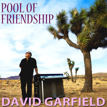 David Garfield - Pool of Friendship