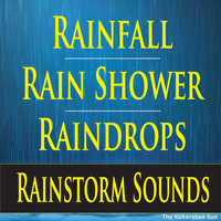 The Kokorebee Sun - Rainfall, Rain Shower, Raindrops, Rainstorm Sounds