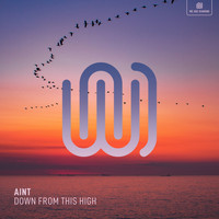 Aint - Down from This High