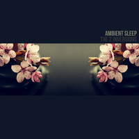 The 2 Inversions - Ambient Sleep