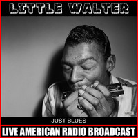 Little Walter - Just Blues