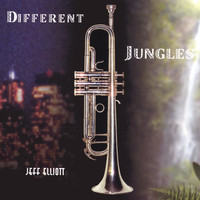 Jeff Elliott - Different Jungles