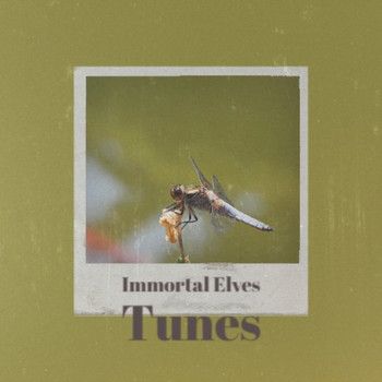 Various Artists - Immortal Elves Tunes