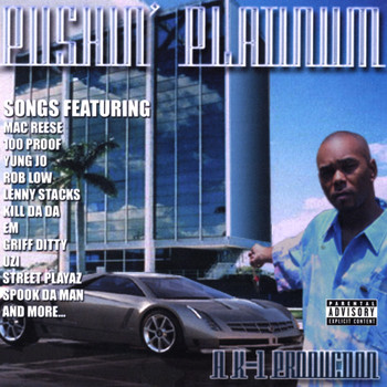 Various Artists - Pushin Platinum