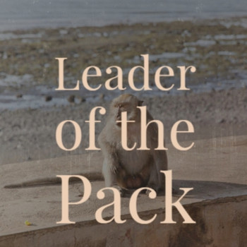 Various Artist - Leader of the Pack