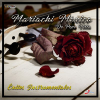 Mariachi México de Pepe Villa - Éxitos Instrumentales