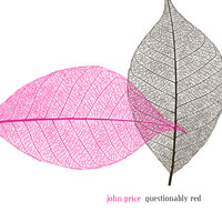 John Price - Questionably Red