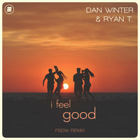 Dan Winter & Ryan T. - I Feel Good (FSDW Remix)