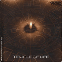 Syndicate - Temple Of Life